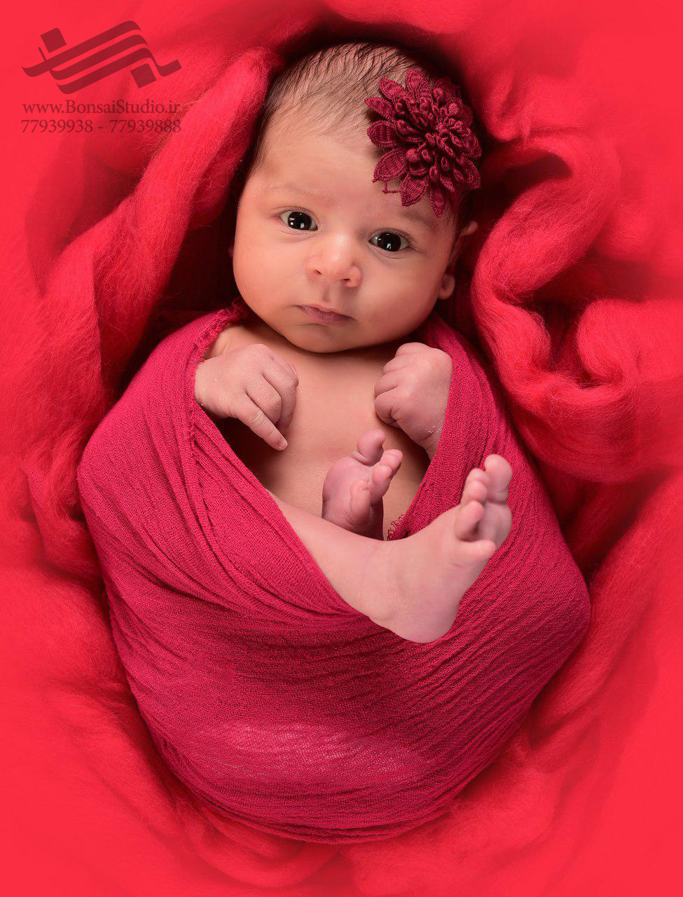 نکات عکاسی نوزاد با نور طبیعی